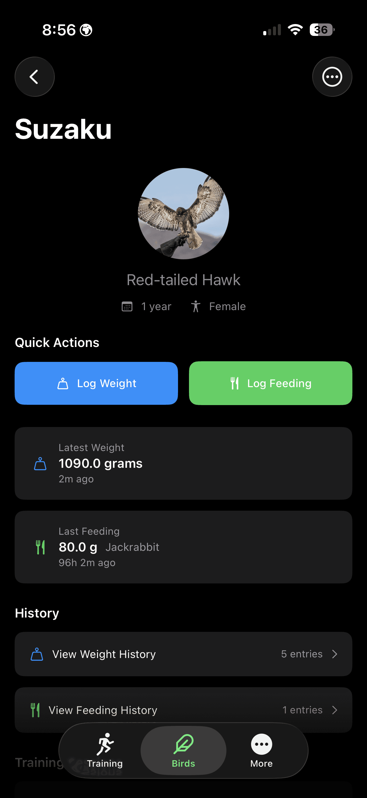 Pantalla de Perfil de Ave de FalconryLab Perfiles de Aves